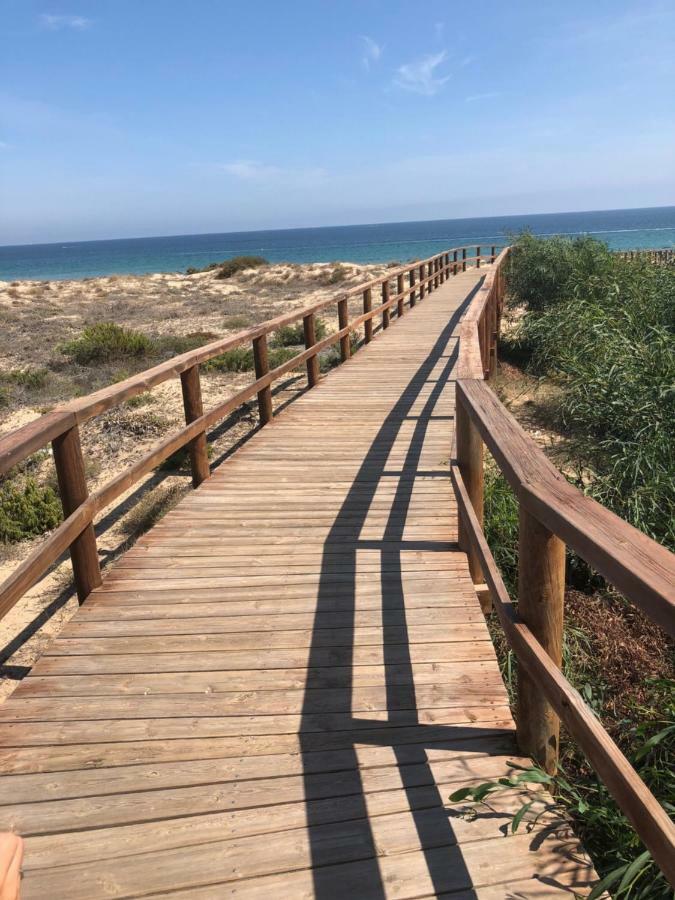 Luxury Beach Front Apartment Arenales del Sol Bagian luar foto